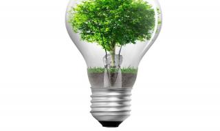 一棵树是什么牌子