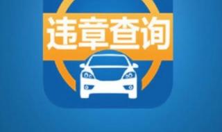 广东省汽车违章查询