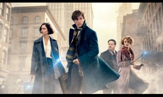 神奇动物去哪里 神奇动物去哪里