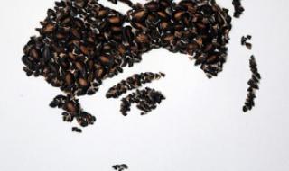 微信国旗小图标 微信国旗小图标