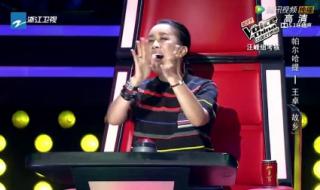 中国好声音帕尔哈提 中国好声音帕尔哈提