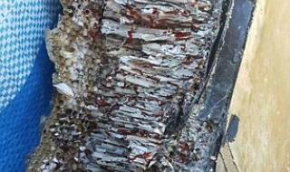 马航MH370失联六周年