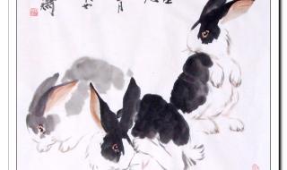 兔年吉祥画图片 兔年吉祥画图片