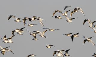 中国海洋大学研究生 中国海洋大学研究生