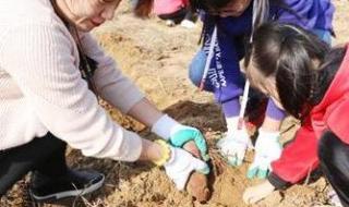 第一志愿和第二志愿 第一志愿和第二志愿