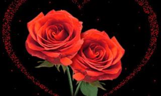 520代表什么 520代表什么