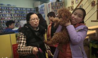 开个宠物店需要什么