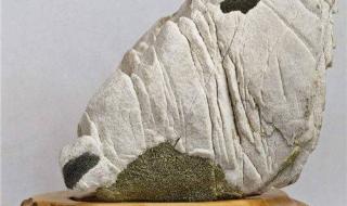 石家庄博纳国际影城