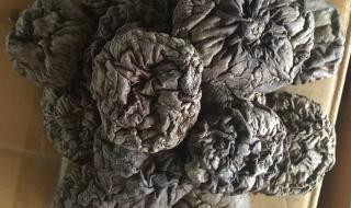 浙江中国香菇之乡