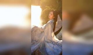 仙人抚我顶下一句