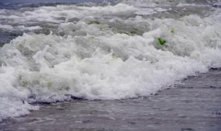 夏日的浪花 夏日的浪花