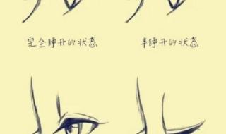 新手动漫人物的画法 新手动漫人物的画法