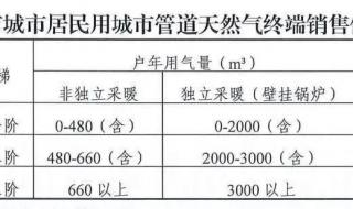 天然气终端销售 天然气终端销售