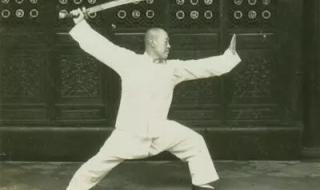 扬式太极拳 扬式太极拳