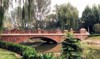 郑州真人cs 郑州真人cs