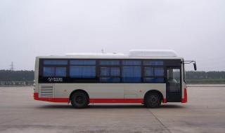 扬子江客车 扬子江客车