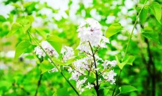 不知不觉的我爱上了你 不知不觉的我爱上了你