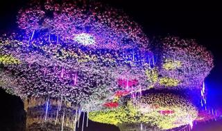 园博园门票 园博园门票