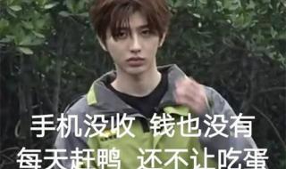 蔡徐坤陈立农小船翻了 蔡徐坤陈立农小船翻了