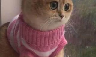 我的眼睛望着窗外