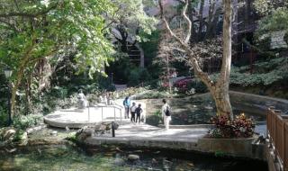 深圳到澳门旅游攻略