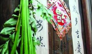 艾草怎么挂在门上图片 艾草怎么挂在门上图片