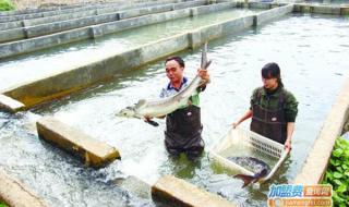 养殖技术顾问杂志