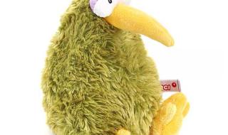 新西兰的国鸟 新西兰的国鸟