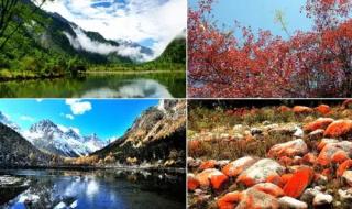 成都海昌极地海洋馆