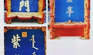 紫光阁是什么机构