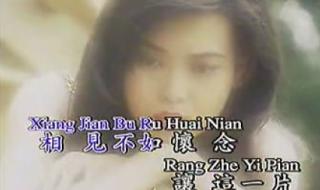 龙飘飘相见不如怀念