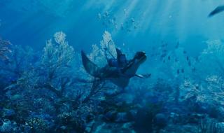 阿凡达2水之道4k资源 阿凡达2水之道4k资源