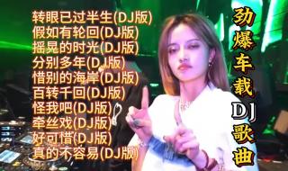 有什么好听的dj歌曲