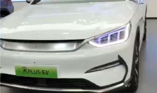 深圳海湾出现白海豚 深圳海湾出现白海豚