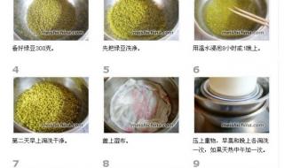 绿豆发芽的过程七天图 绿豆发芽的过程七天图