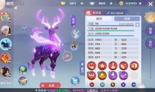 梦幻新诛仙手游法师